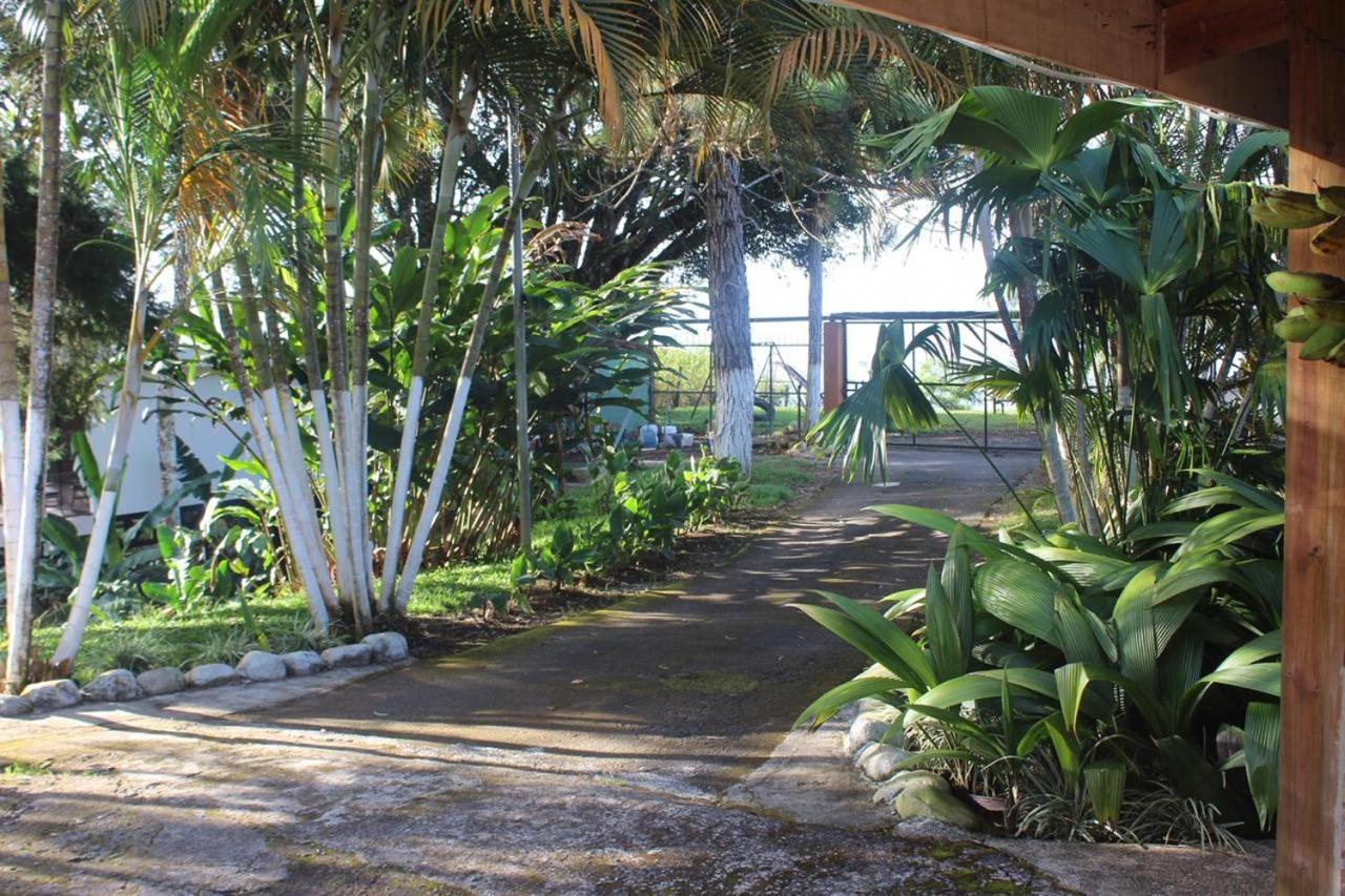 Quinta Los Volcanes Turrialba Exterior foto